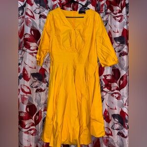 Elegant Long Sleeve Yellow Dress
